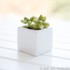 White planter pot (5cm cube)